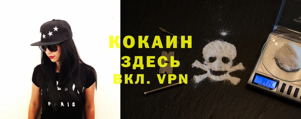 тгк Алексин
