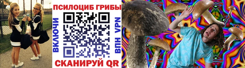 Псилоцибиновые грибы GOLDEN TEACHER  Алзамай 
